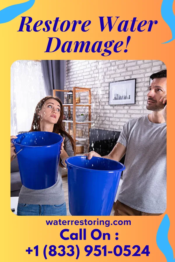 water restoration Best Flood Damage Network Bear Lake