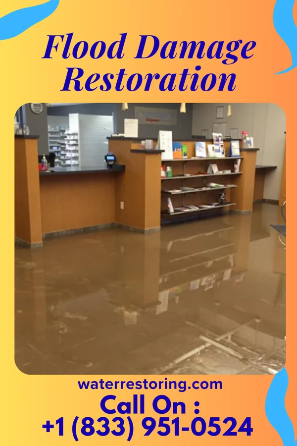 Flood Damage Restoration in Bear Lake, MI