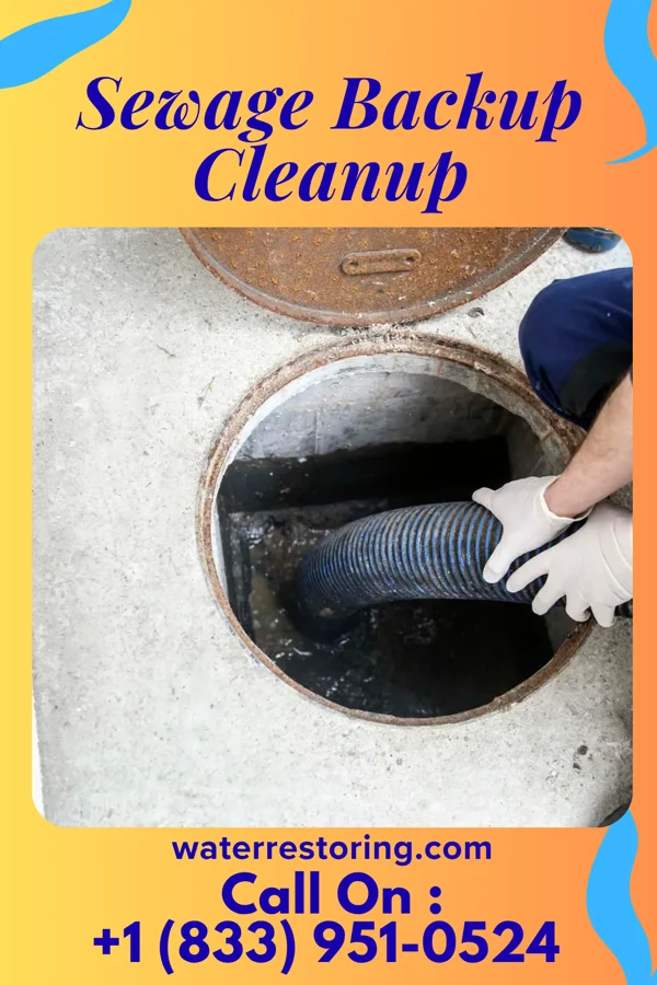 Sewage Backup Cleanup in Bear Lake, MI