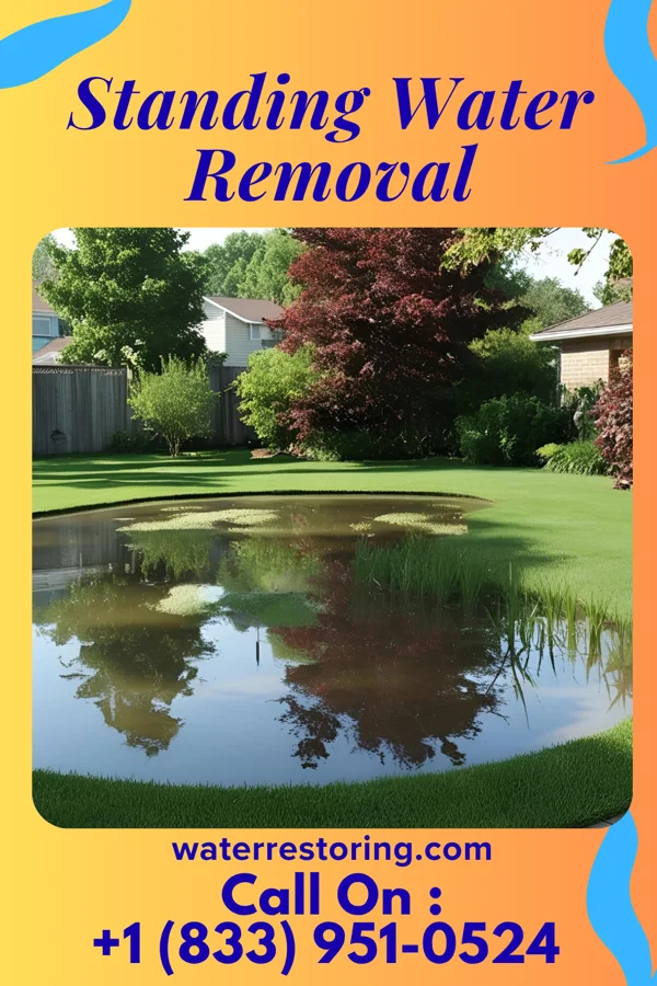 Standing Water Removal in Bear Lake, MI